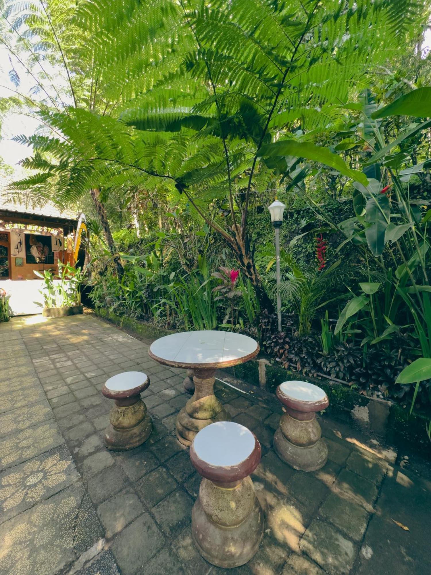 Homestay Sente Munduk Buitenkant foto